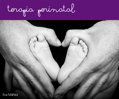 gallery/perinatal2